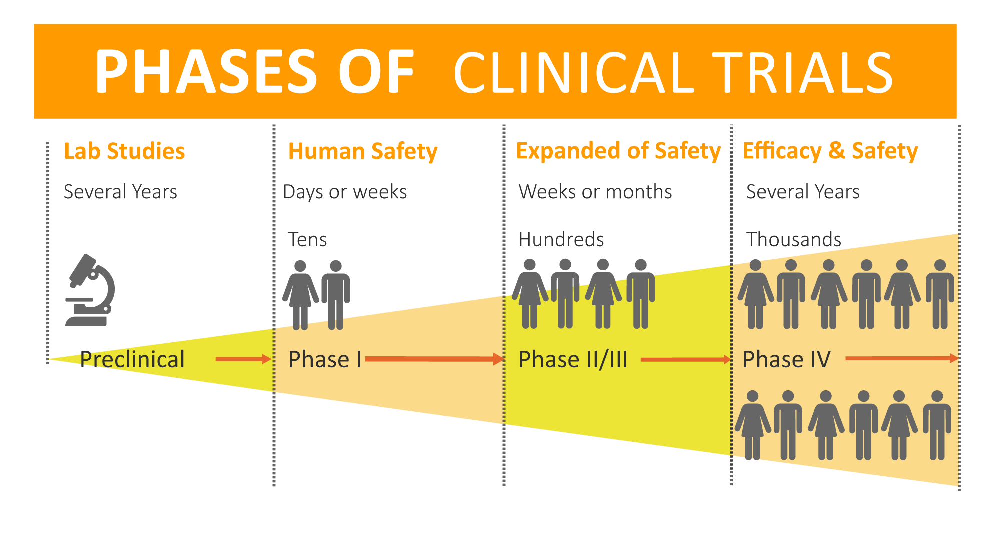 Phases-of-clinical-trials_3